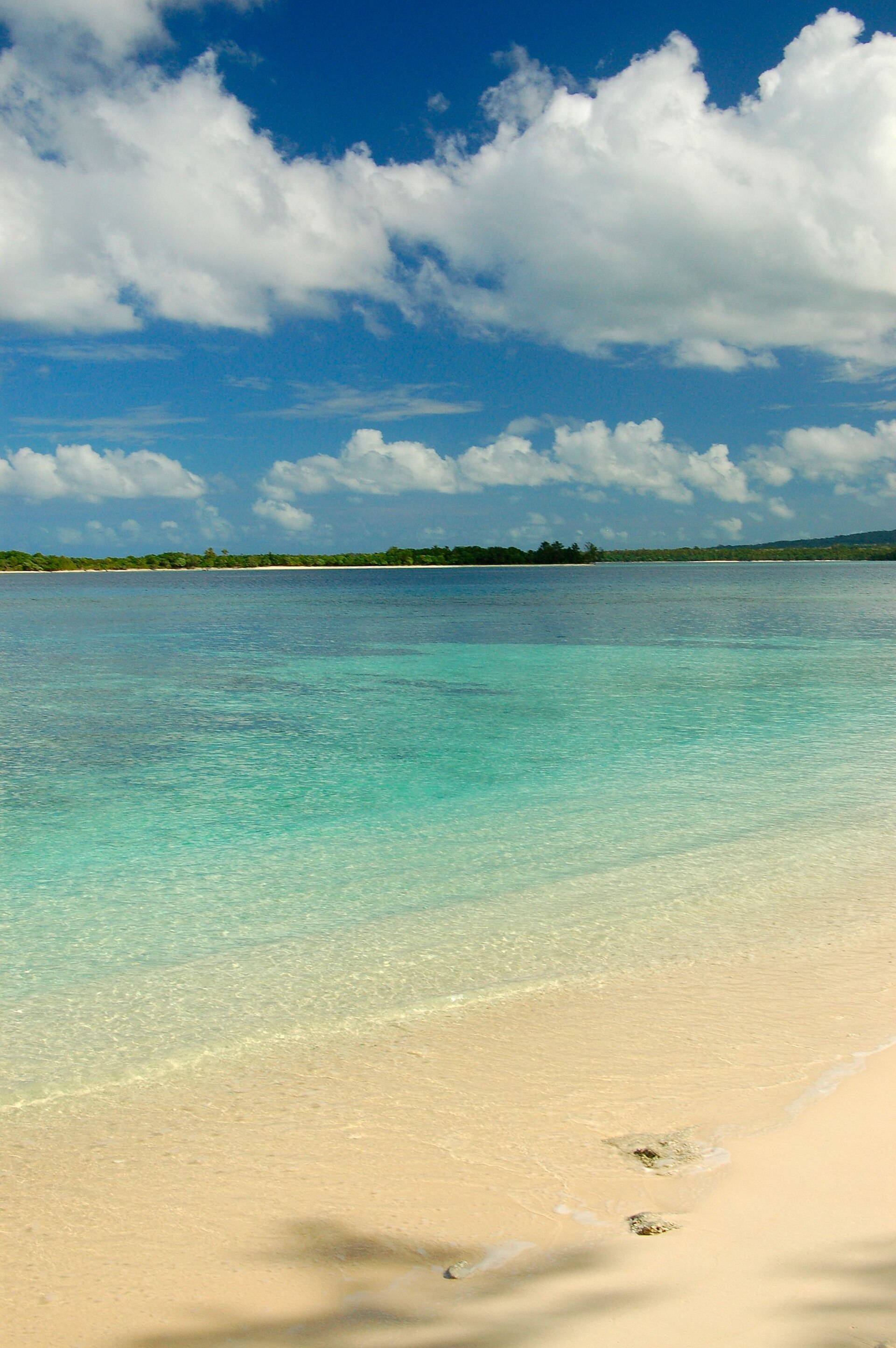 Tropical shoreline — temporary placeholder